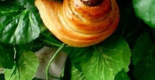 Плюшки с маком