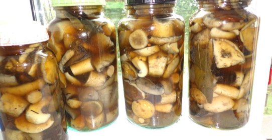 Маринованные грибы
