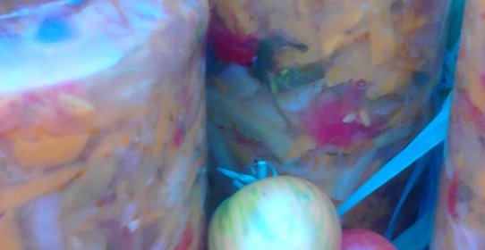 Салат Вдоль по огороду