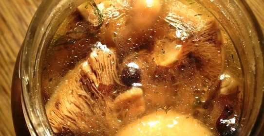 Маринованные рыжики