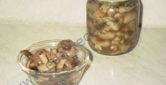 Засолка грибов холодным способом