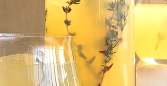 Коктейль с водкой и тимьяном