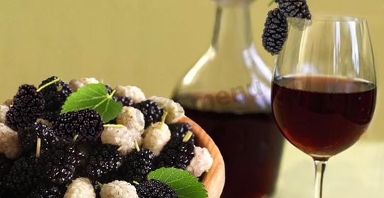 Наливка из шелковицы