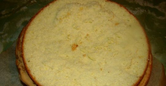 Бисквитные коржи для торта