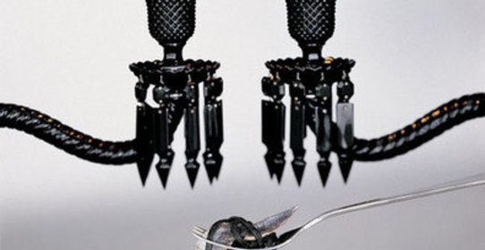 Лингвини с анчоусами