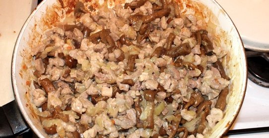 Жареное мясо с грибами