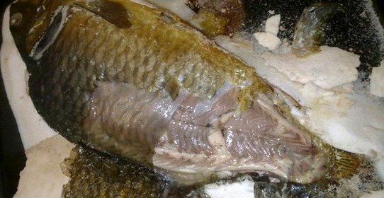 Карп, запеченный в соли