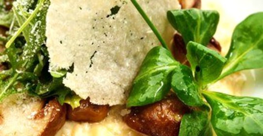 Салат из рукколы с шампиньонами и пармезаном