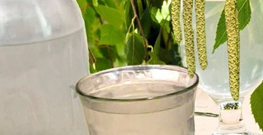 Самогон из березового сока