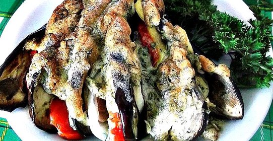 Баклажаны Жар-птица