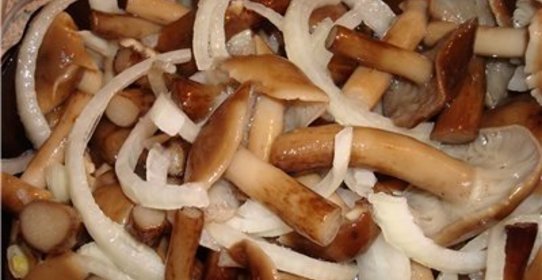 Опята маринованные с луком на зиму