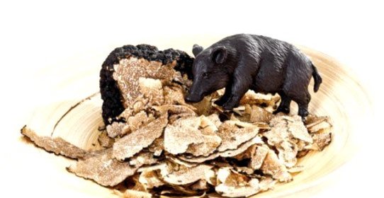 Трюфели в винном соусе