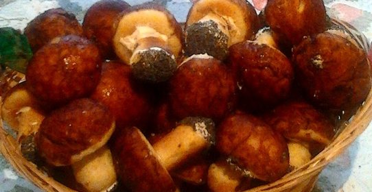 Печенье Лесная сказка