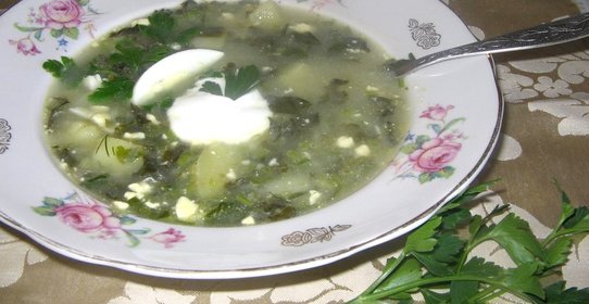 Щи из щавеля