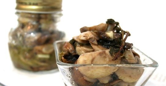 Маринованные зонтики