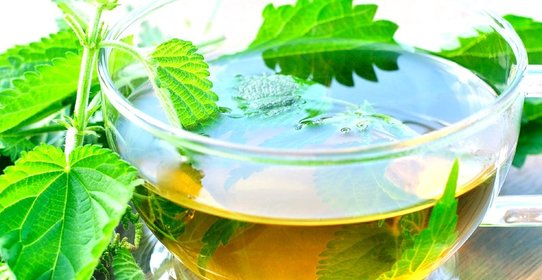 Сироп из крапивы