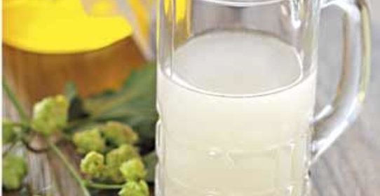 Мед ставленый хмельной