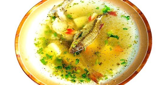 Уха из свежей речной рыбы