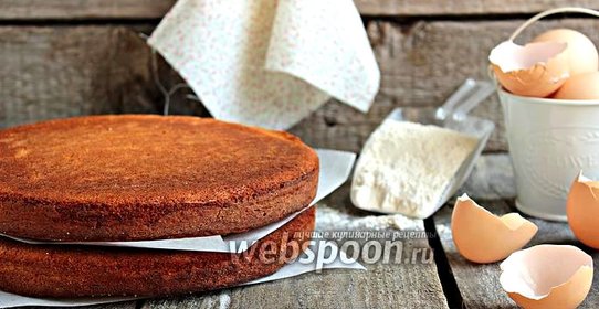 Бисквит «Sponge»