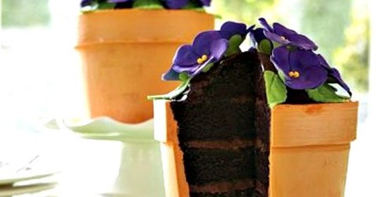 Торт Цветок в горшке