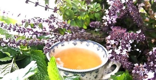 Сироп шалфея