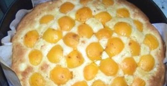 Шарлотка с яблоками и абрикосами