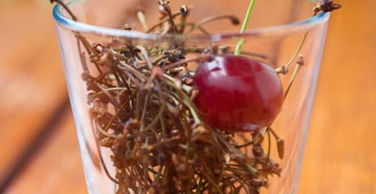 Отвар из вишневых черешков