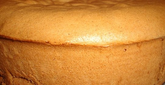 Бисквит со сметаной