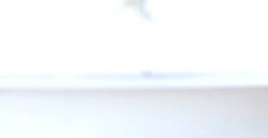 Пирог с цукини, лимоном и кедровыми орешками