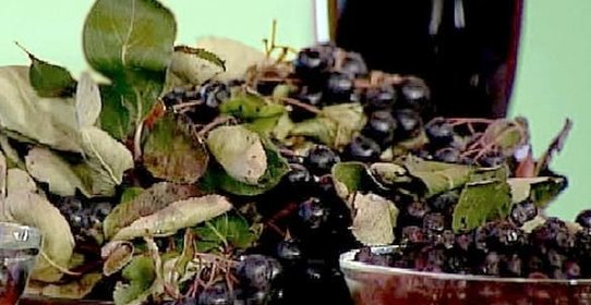 Сироп из черноплодной рябины на зиму