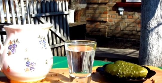 Брага на пророщенной пшенице