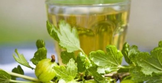 Наливка из крыжовника