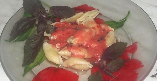 Ракушки с сыром и томатным соусом