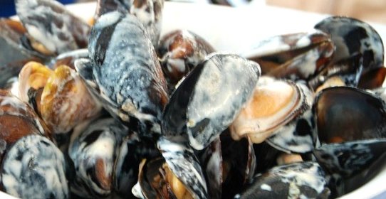 Мидии в сливочном соусе