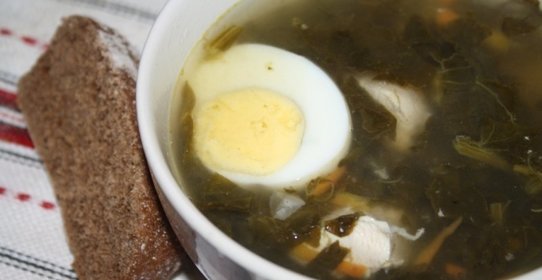 Зеленый борщ с конским щавелем на куриных грудках