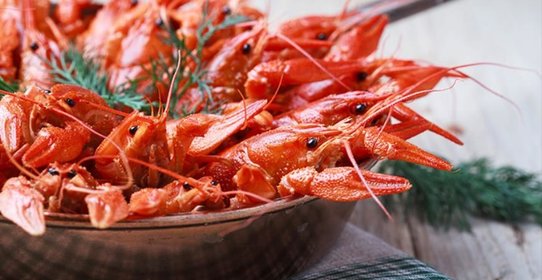 Вареные раки с укропом
