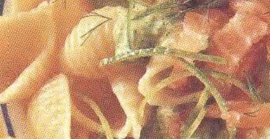 Кончильетте с сыром маскарпоне и лососем