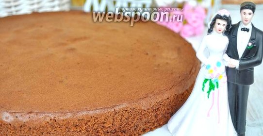 Бисквит для большого торта