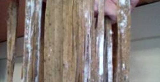 Домашние макароны с базиликом