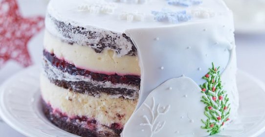 Шоколадный торт «Клюква в снегу»