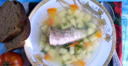Рыбный суп из нототении