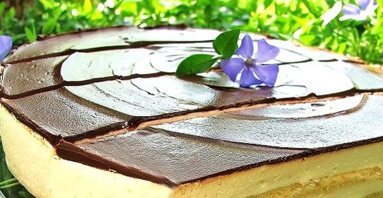 Торт Птичье молоко на агар-агаре