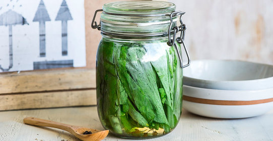 Соленая черемша на зиму