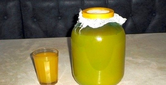 Квас из чистотела