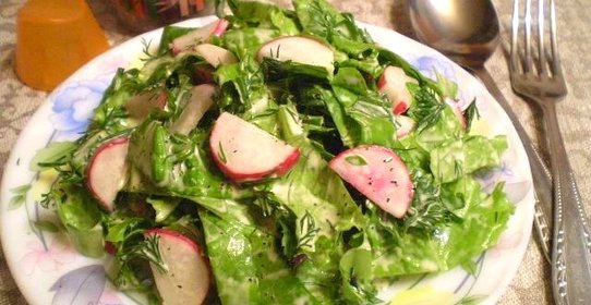 Салат из редиса и зелени