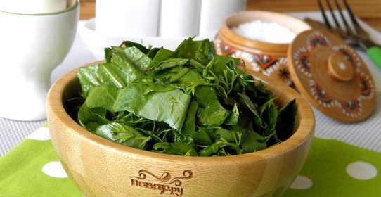 Салат из щавеля