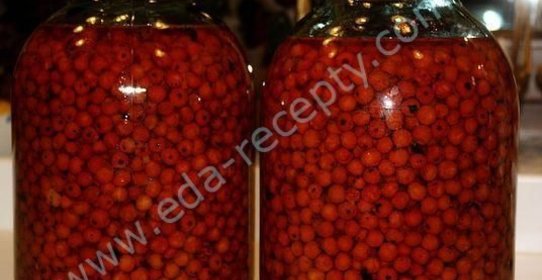 Черноплодная наливка из рябины