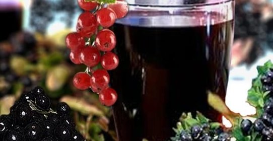 Компот из черемухи