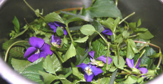 Салат из одуванчиков и крапивы