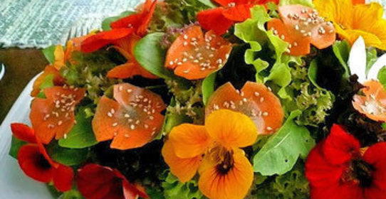 Пикантный салат из настурции и зеленого лука